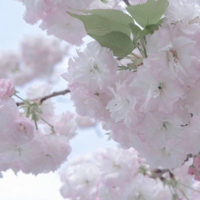 Furry绘画技巧合集福瑞交流群